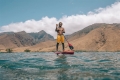 SUP Pádlo Carbon 80%  7,25''; 2-dílné  