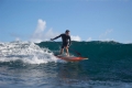 SUP Pádlo Carbon 80%  7,25''; 2-dílné  