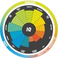 Kite IQ 12,0 