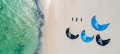 Kite Pure 12,0 - 2019 