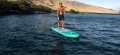SUP Pádlo Carbon 35%  7,25''; 3-dílné  