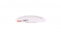 Foil board Magic Carpet 135 MTE - 2024 