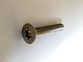 Šroub nerez TX30 M6 x 35 mm 
